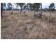 Texas NSW 4385