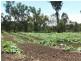 Texas NSW 4385