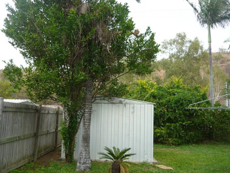 17 Curacoa Court, Wulguru QLD 4811