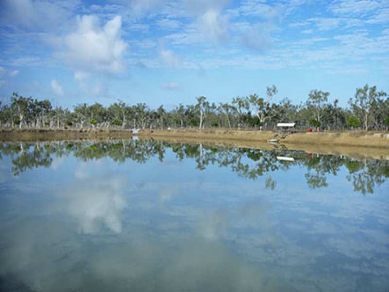 296 Booth Road, Stuart QLD 4811