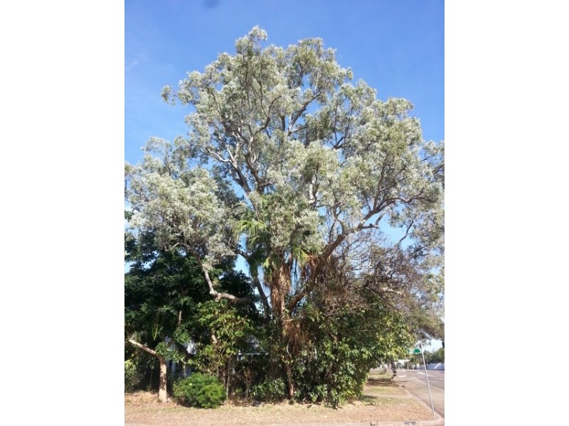 76 Love Lane, Mundingburra QLD 4812