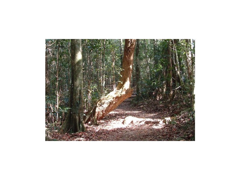 1 Mt Spec Road, Paluma QLD 4816