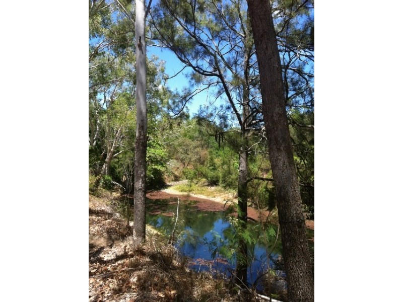 264 Williams Road, Alligator Creek QLD 4816