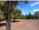 264 Williams Road, Alligator Creek QLD 4816