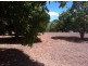264 Williams Road, Alligator Creek QLD 4816