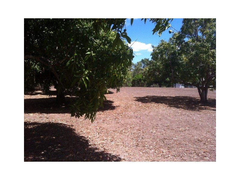 264 Williams Road, Alligator Creek QLD 4816
