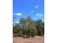 264 Williams Road, Alligator Creek QLD 4816