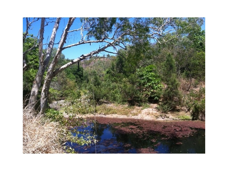 264 Williams Road, Alligator Creek QLD 4816
