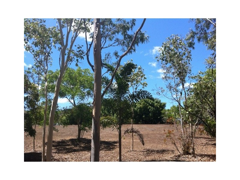 264 Williams Road, Alligator Creek QLD 4816