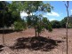 264 Williams Road, Alligator Creek QLD 4816