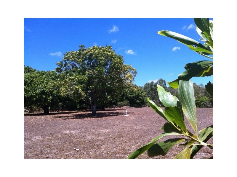 264 Williams Road, Alligator Creek QLD 4816
