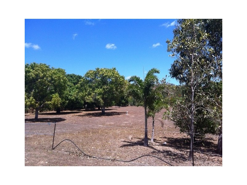 264 Williams Road, Alligator Creek QLD 4816