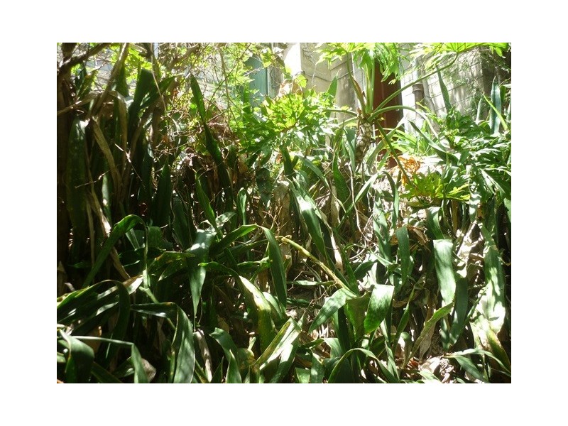 24 Melton Terrace, Townsville City QLD 4810