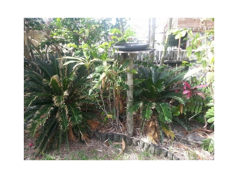 13 CHAMPAGNE CRESCENT, Kelso QLD 4815