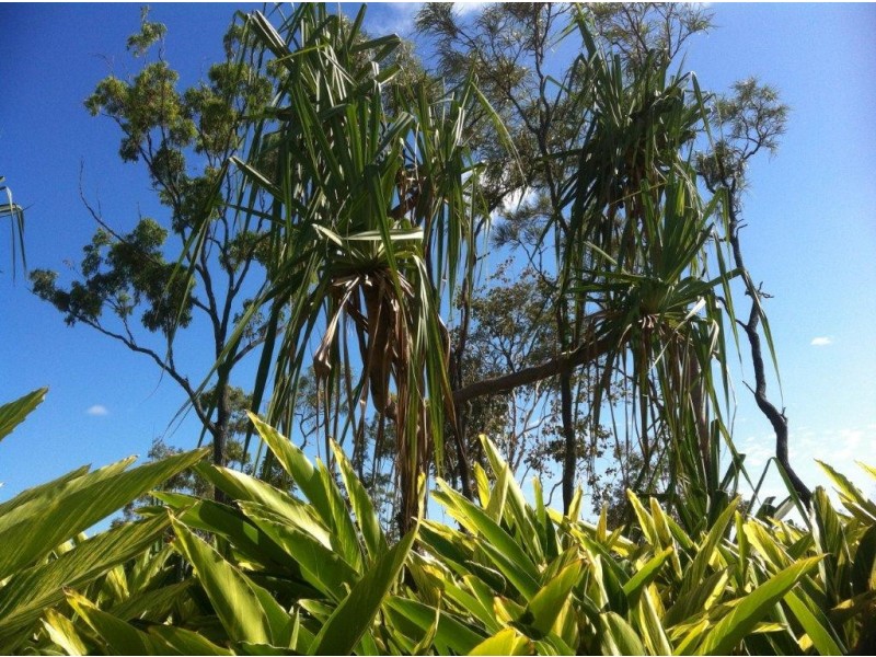 61 Iona Place, Burdell QLD 4818