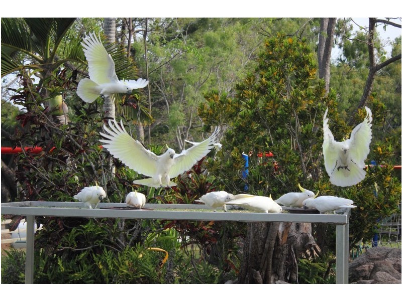 9/61-79 Mandalay Ave, Nelly Bay, Magnetic Island QLD 4819