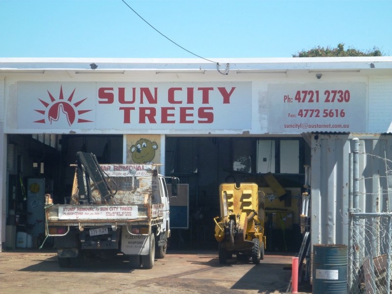 6 Railway Avenue, Railway Estate QLD 4810