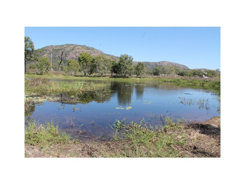 344 Bentley Drive, Nome QLD 4816