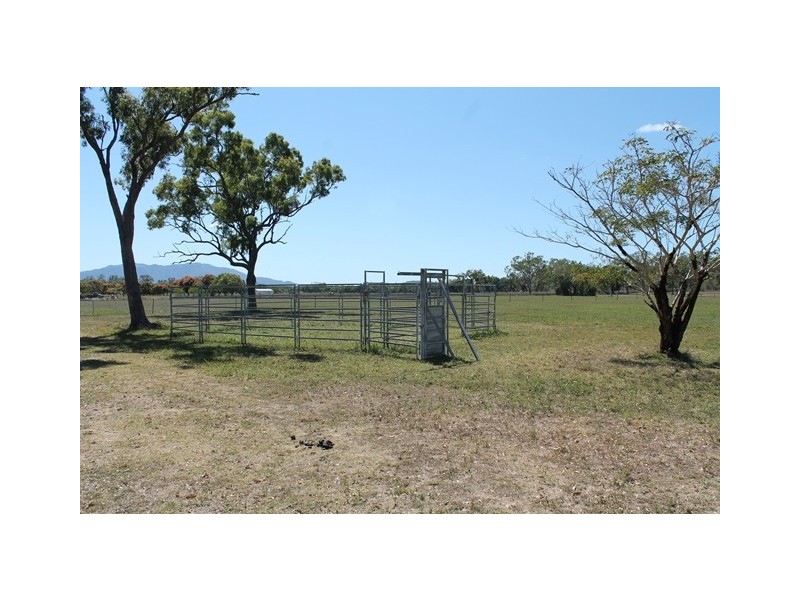 344 Bentley Drive, Nome QLD 4816