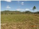 Lot 74 Tinkle Creek Road, Lannercost QLD 4850