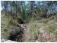 Lot 74 Tinkle Creek Road, Lannercost QLD 4850