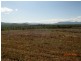 Lot 74 Tinkle Creek Road, Lannercost QLD 4850