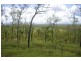 Lot 74 Tinkle Creek Road, Lannercost QLD 4850