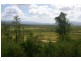 Lot 74 Tinkle Creek Road, Lannercost QLD 4850