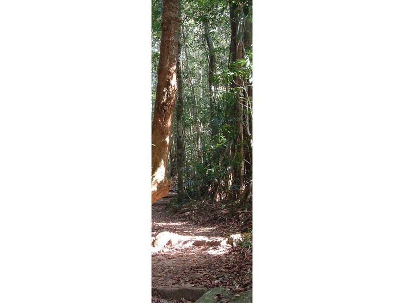 1 Mt Spec Road, Paluma QLD 4816