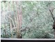 33 Mt Spec Road, Paluma QLD 4816