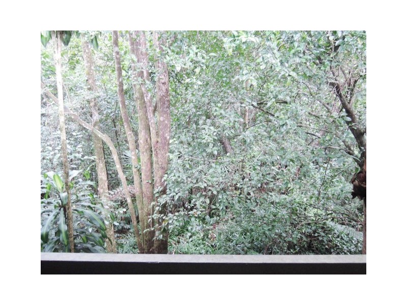 33 Mt Spec Road, Paluma QLD 4816
