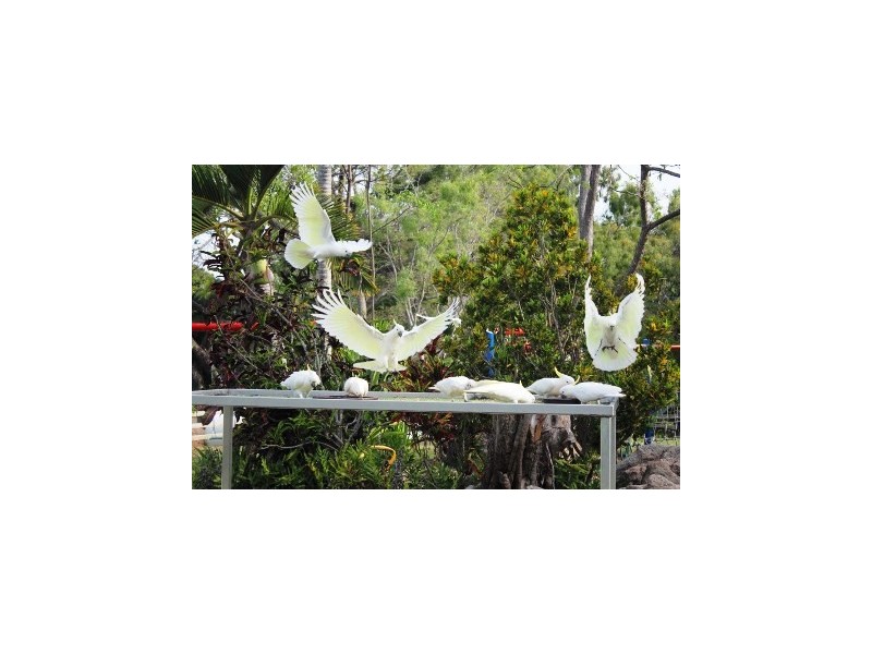 152/61-79 Mandalay Avenue, Nelly Bay, Magnetic Island, Nelly Bay QLD 4819