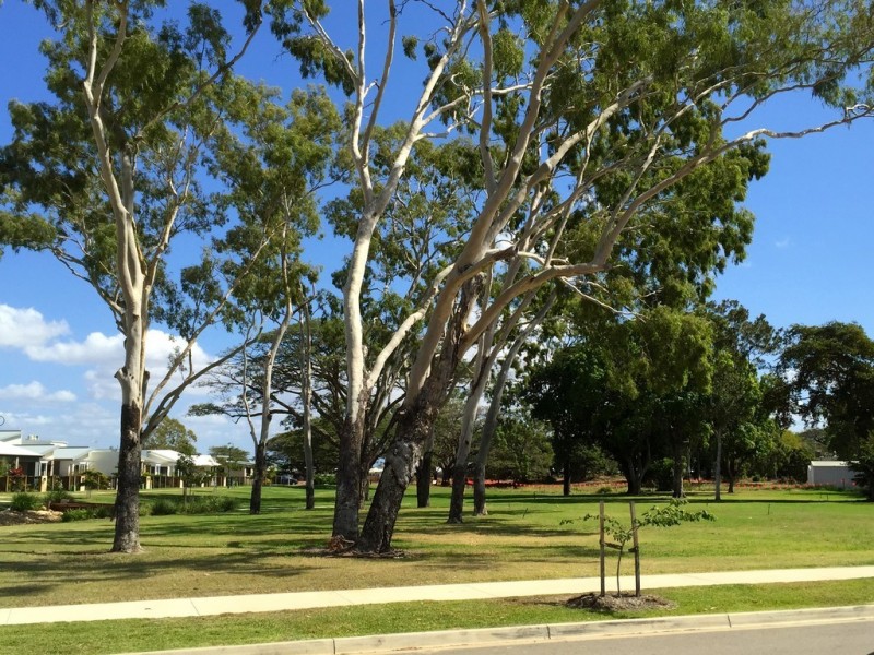 17 Darter Street, Oonoonba QLD 4811