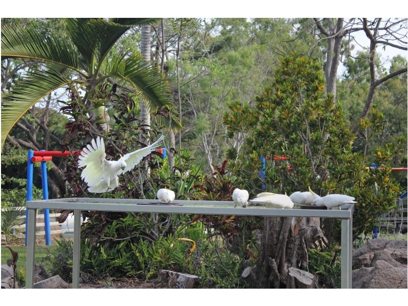 194/61-79 Mandalay Avenue, Nelly Bay, Magnetic Island QLD 4819