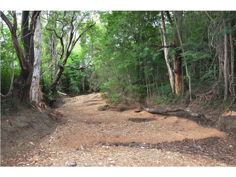 229 Dingo Park Road, Calcium QLD 4816