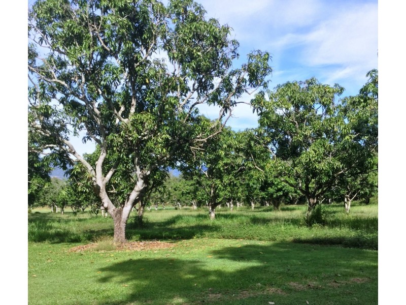 19 BARRILGIE ROAD, Coolbie QLD 4850