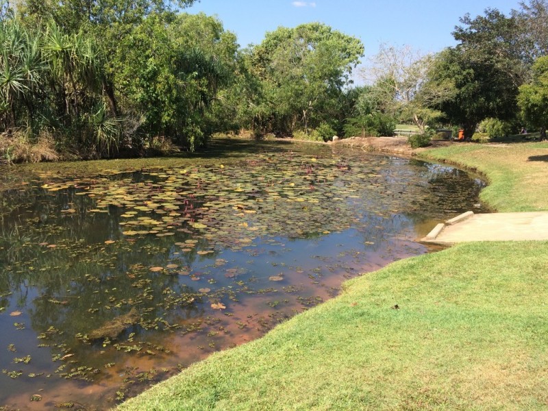 11 Kurala Circuit, Gunn NT 0832