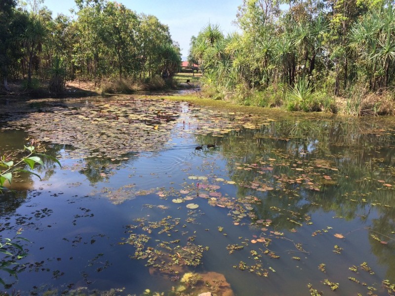 11 Kurala Circuit, Gunn NT 0832