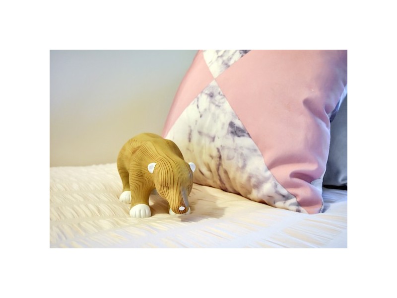 4/15 Packard Street, Larrakeyah NT 0820