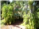 12/25 Bradshaw Terrace, Nakara NT 0810