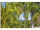 6/9 Charlotte Street, Fannie Bay NT 0820