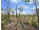 401 Owen Lagoon Road, Lake Bennett NT 0822
