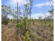 401 Owen Lagoon Road, Lake Bennett NT 0822