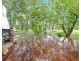 65, Lot 72 Cypress Road, Humpty Doo NT 0836