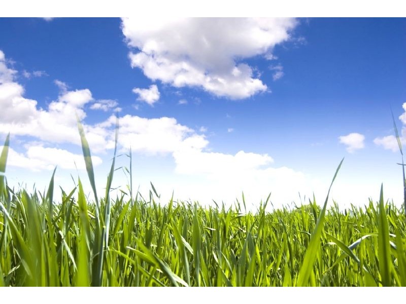 1 Notley Place, Parap NT 0820