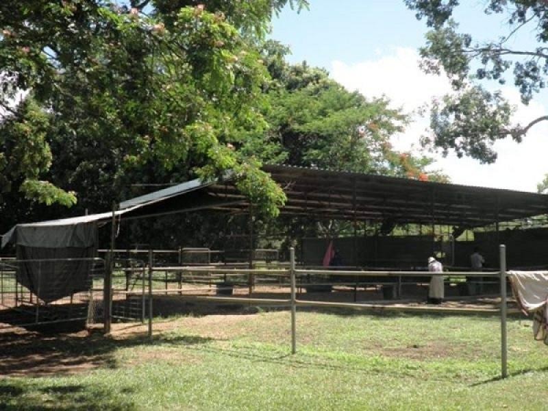 310 Lowther Road, Virginia NT 0835