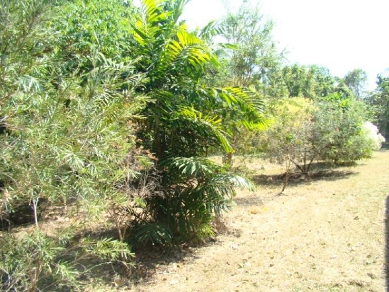 3612 Balanda Drive, Dundee Beach NT 0840