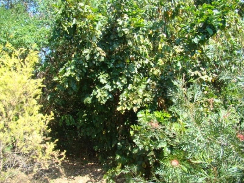 3612 Balanda Drive, Dundee Beach NT 0840