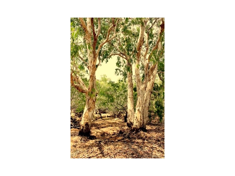 2963 Emperor Road, Dundee Downs NT 0840