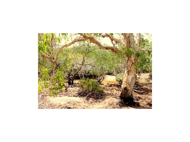 2963 Emperor Road, Dundee Downs NT 0840